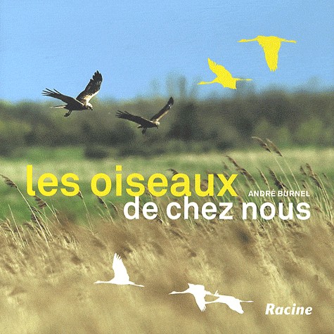Les oiseaux de chez nous: Alouettes, bouvreuils, martinets, moineaux, geais, cigognes, faucons pèlerins...