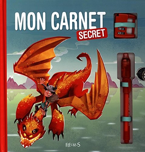 Mon carnet secret (avec code) garçon