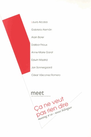 Meeting, N° 10 : Ca ne veut pas rien dire