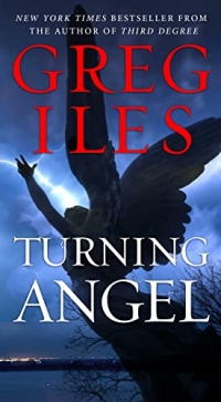 Turning Angel: A Novel