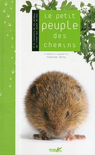 Le petit peuple des chemins