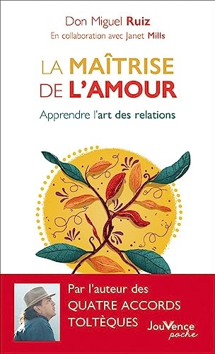 La maîtrise de l'amour: Apprendre l'art des relations