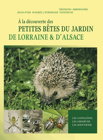 A la découverte des petites bêtes du jardin