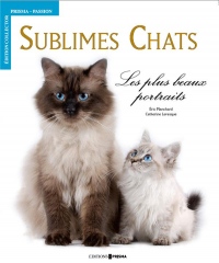 Sublimes chats : Les plus beaux portraits