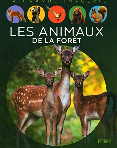 Les animaux de la forêt