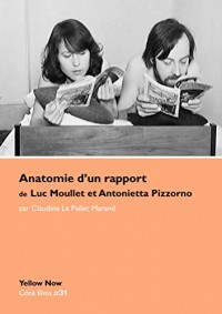 Anatomie d'un rapport de Luc Moullet et Antonietta Pizzorno : Du bon usage cinématographique du MLF et du porno