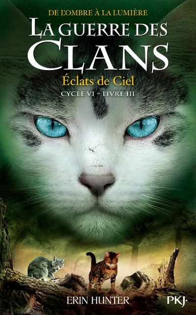 La guerre des clans, Cycle VI - tome 3 Éclats de ciel