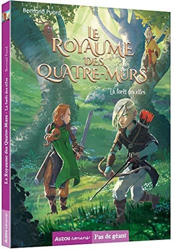 Le royaume des quatre-murs tome 2 - la forêt des elfes