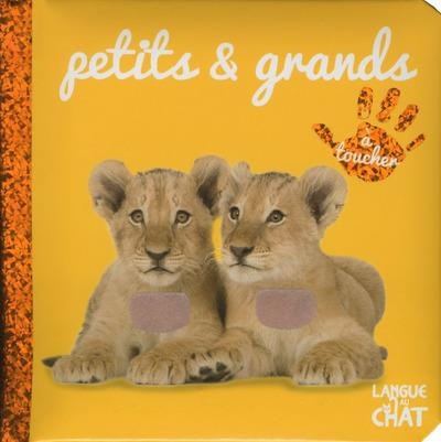 Bébé touche-à-tout - Petits et grands