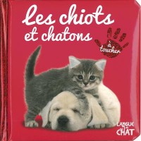 Bébé touche-à-tout - Les chiots et chatons