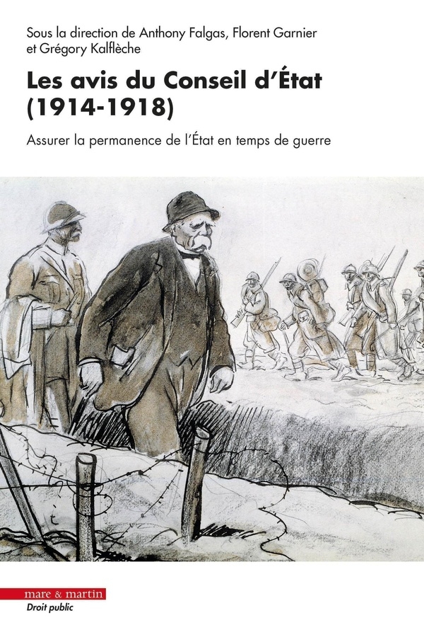 Les avis du Conseil d'État (1914-1918): Assurer la permanence de l'État en temps de guerre