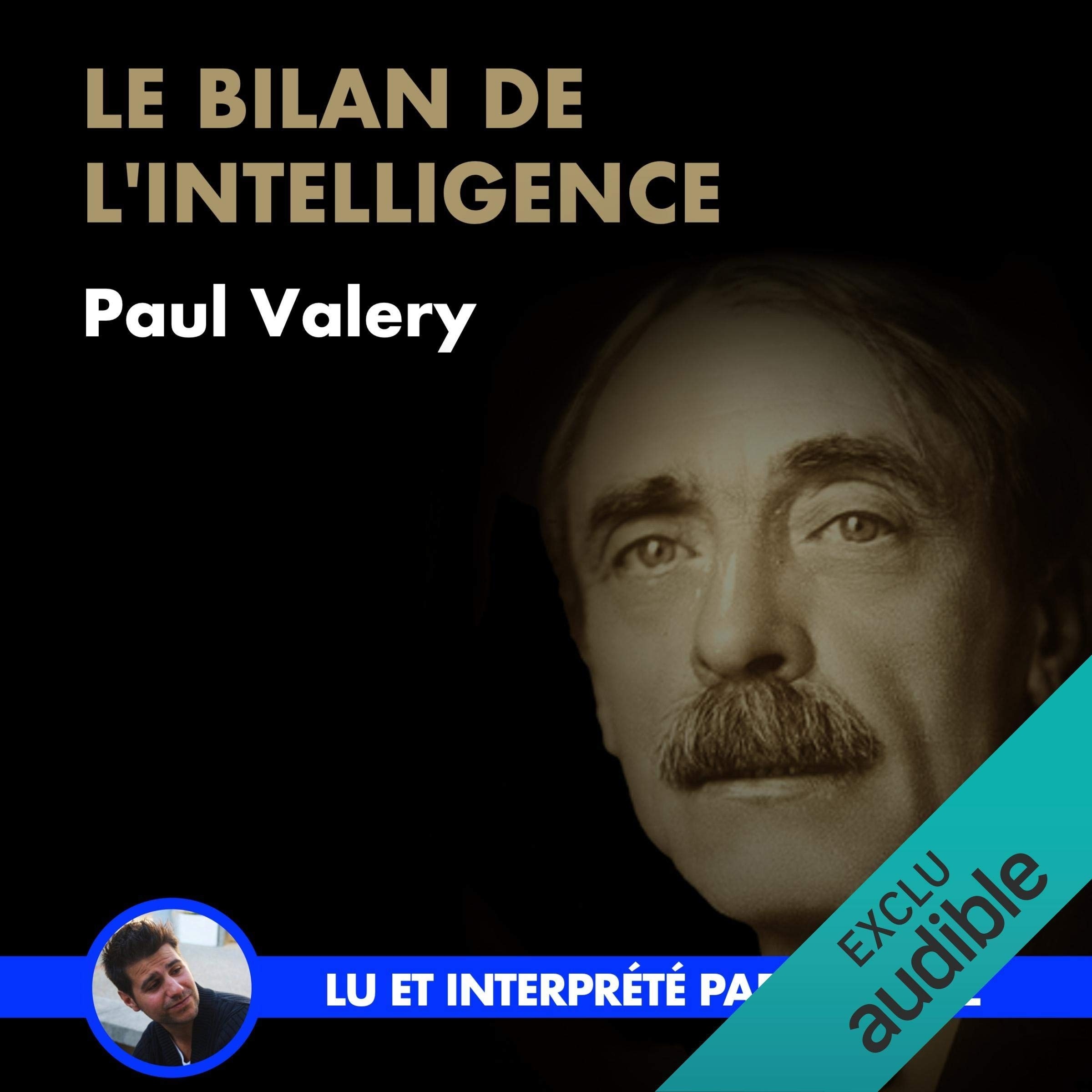 Le bilan de l'intelligence