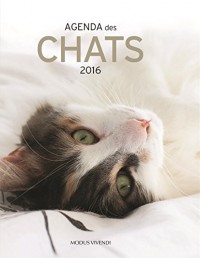 Agenda des chats 2016