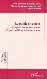 Le public en action : usage et limites de la notion d'espace public