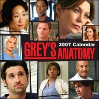 Grey'S Anatomy 2008