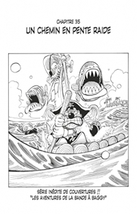 One Piece édition originale - Chapitre 35 : Un chemin en pente raide (One Piece Chapitres)