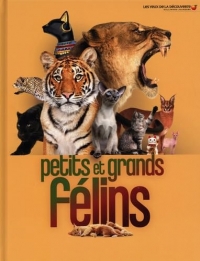 Petits et grands félins