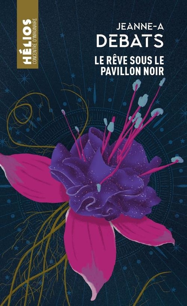 Le rêve sous le pavillon noir
