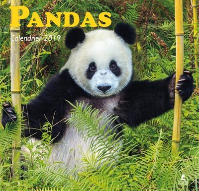 Pandas - Calendrier 2019