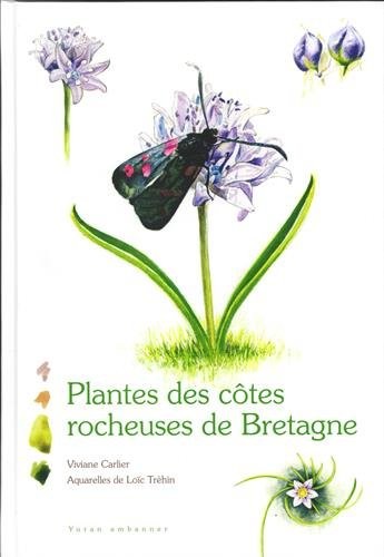 Plantes des côtes rocheuses de Bretagne