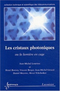 Les cristaux photoniques ou la lumière en cage