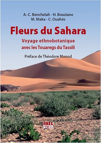 Fleurs du sahara