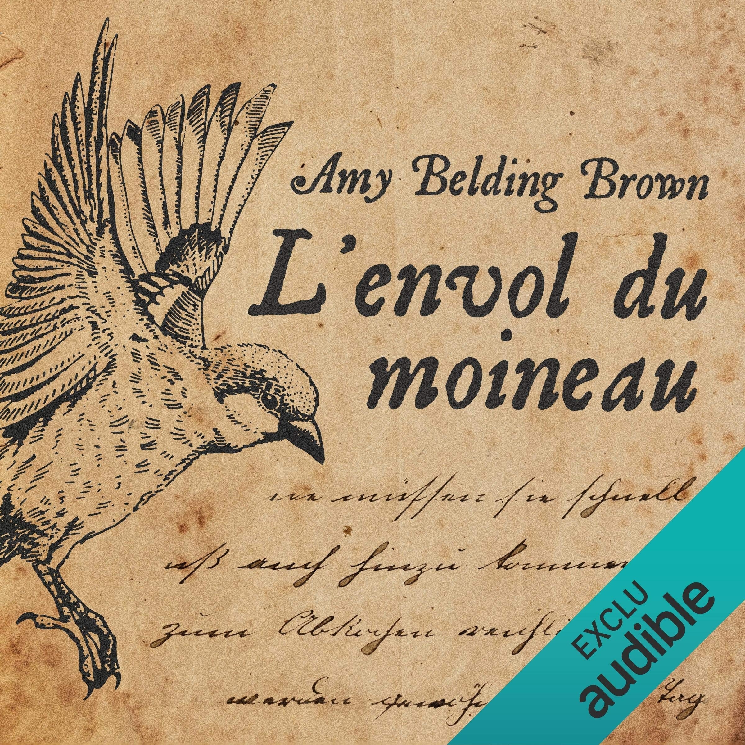L'envol du moineau