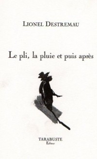 Le pli, la pluie et puis après