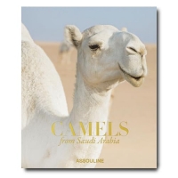 Camels from Saudi Arabia