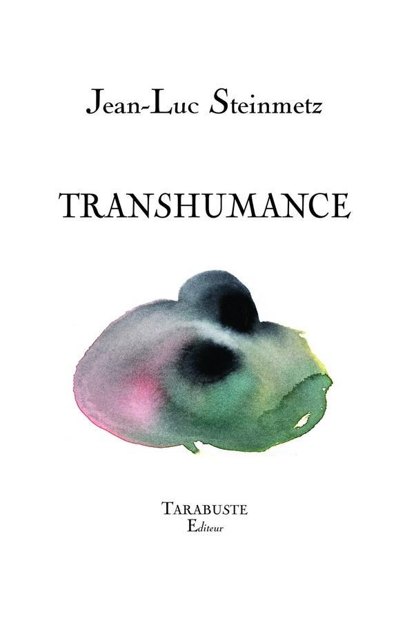 TRANSHUMANCE - Jean-Luc Steinmetz