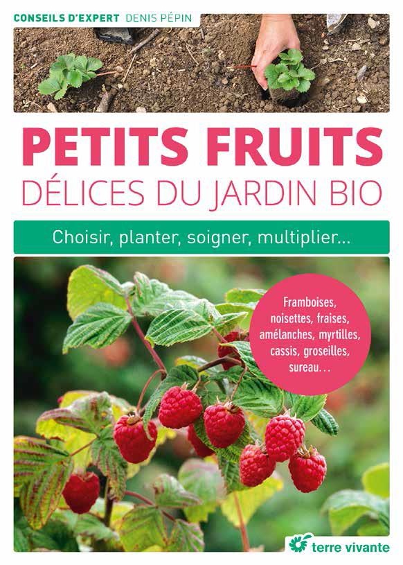Petits fruits, délices du jardin bio : Choisir, planter, soigner, multiplier