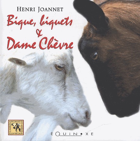 BIQUE, BIQUETS ET DAME CHEVRE