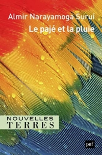 Le pajé et la pluie