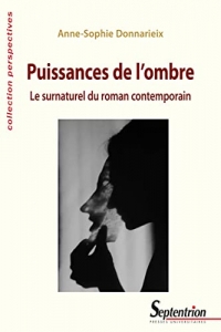 Puissances de l'ombre: Le surnaturel du roman contemporain