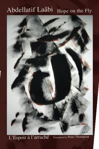 Hope on the Fly [9781956921021]