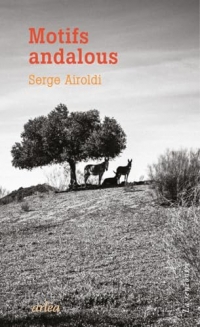 Motifs andalous