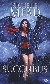 Succubus, Tome 4: Succubus Heat