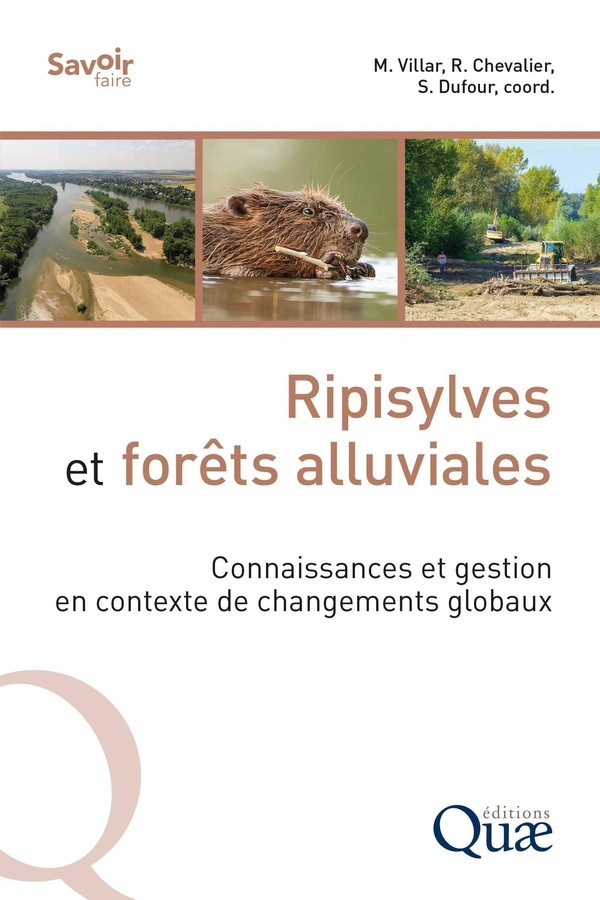 Ripisylves et forêts alluviales: Ripisylves et forêts alluviales