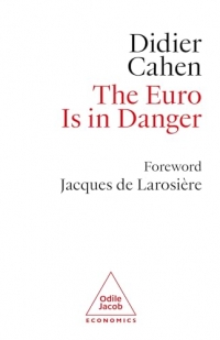 The Euro is in Danger