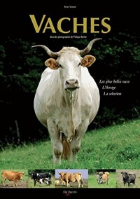 Vaches : Les plus belles races, l'élevage, la sélection