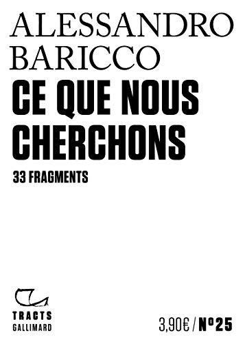 Ce que nous cherchons: 33 fragments