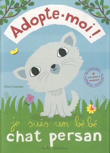Je suis un bébé chat persan