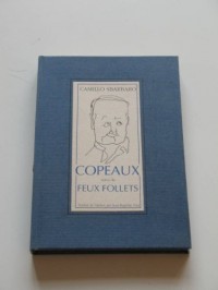 Copeaux. : Feux follets