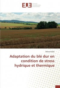 Adaptation du blé dur en condition de stress hydrique et thermique