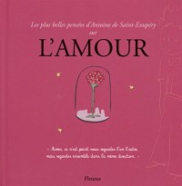 Les plus belles pensées d'Antoine de Saint-Exupéry sur l'amour