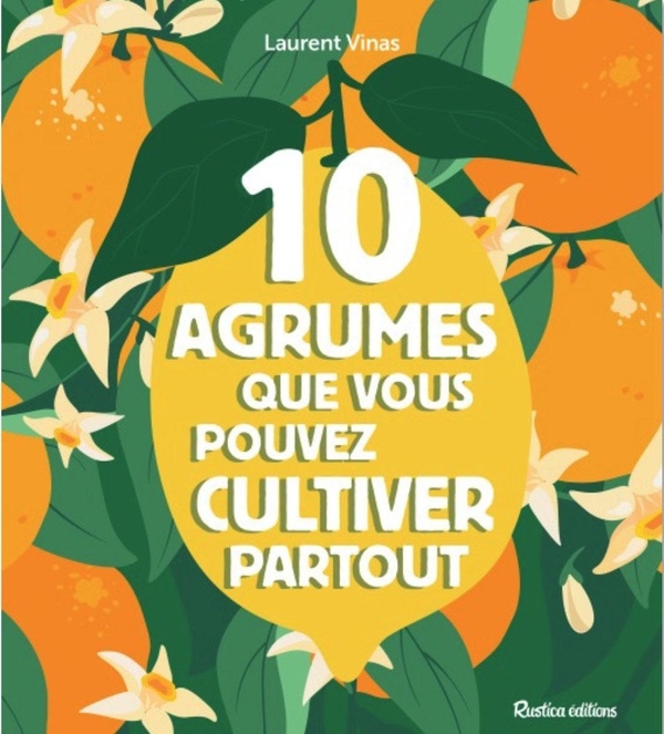 Les 10 agrumes que vous pouvez cultiver partout: En pot ou pleine terre, au Nord comme au Sud
