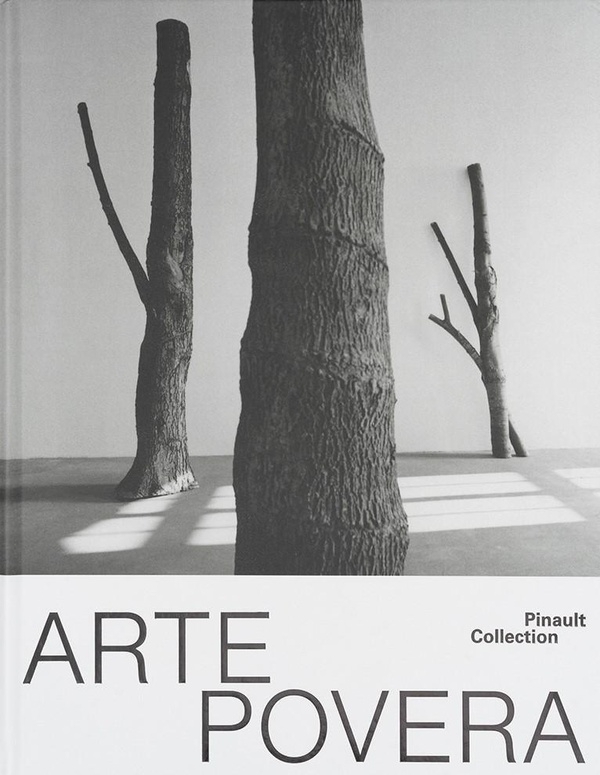 Arte povera: 300 millions d’années