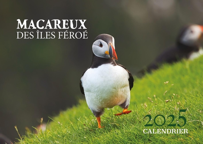 Calendrier 2025 - Macareux des îles féroé: Macareux des îles Féroé