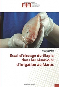 Essai d’élevage du tilapia dans les réservoirs d’irrigation au Maroc