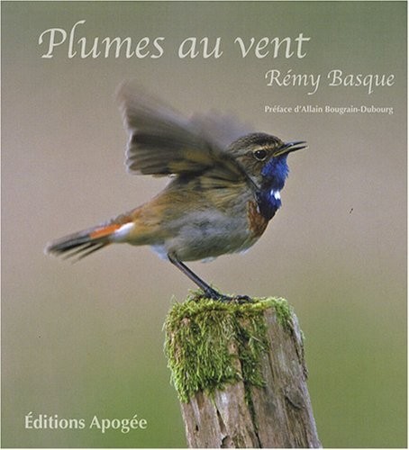 Plumes au vent